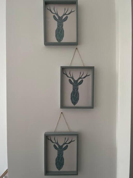 Newly Refurbished Town Centre Apartment オーバン エクステリア 写真